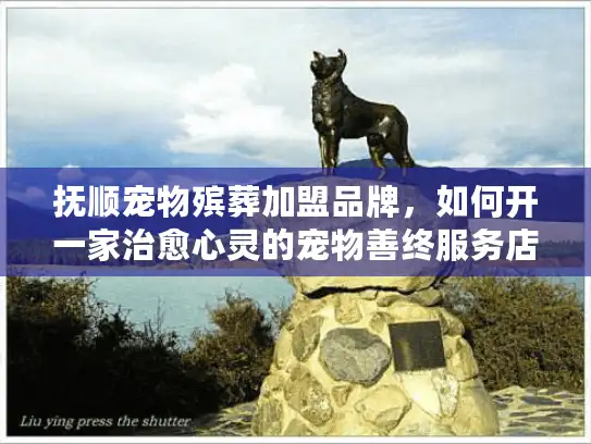 抚顺宠物殡葬加盟品牌，如何开一家治愈心灵的宠物善终服务店？