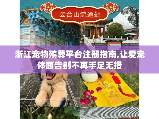 浙江宠物殡葬平台注册指南,让爱宠体面告别不再手足无措