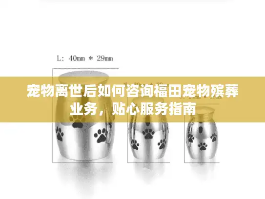 宠物离世后如何咨询福田宠物殡葬业务，贴心服务指南