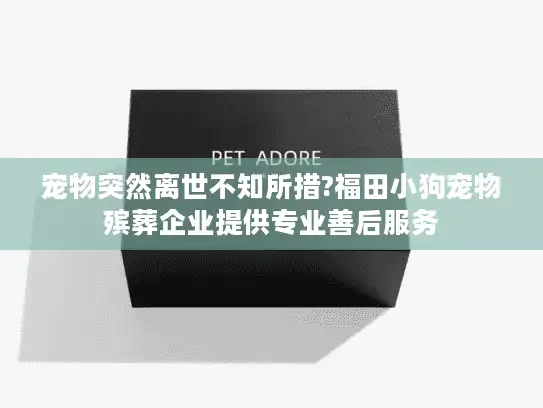 宠物突然离世不知所措?福田小狗宠物殡葬企业提供专业善后服务