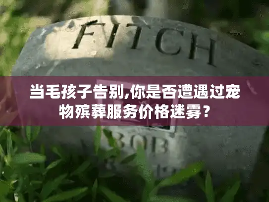 当毛孩子告别,你是否遭遇过宠物殡葬服务价格迷雾？