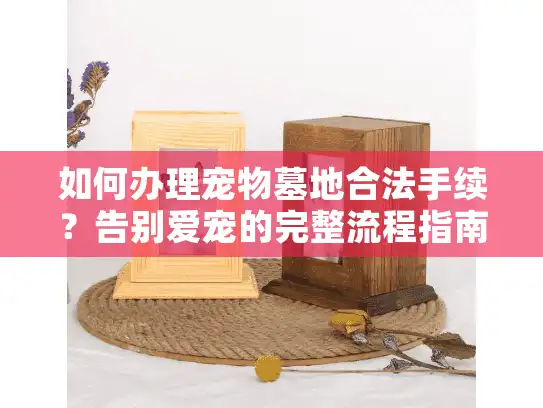 如何办理宠物墓地合法手续？告别爱宠的完整流程指南