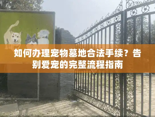 如何办理宠物墓地合法手续？告别爱宠的完整流程指南