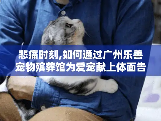 悲痛时刻,如何通过广州乐善宠物殡葬馆为爱宠献上体面告别?