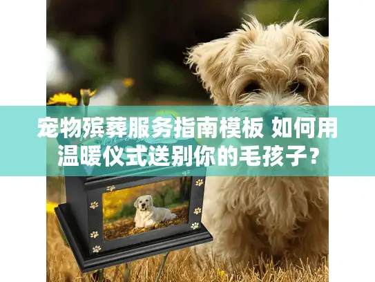宠物殡葬服务指南模板 如何用温暖仪式送别你的毛孩子？