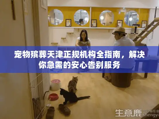 宠物殡葬天津正规机构全指南，解决你急需的安心告别服务