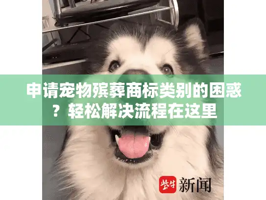 申请宠物殡葬商标类别的困惑？轻松解决流程在这里