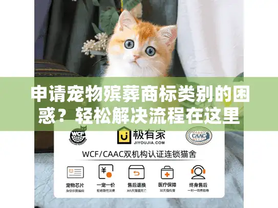 申请宠物殡葬商标类别的困惑？轻松解决流程在这里