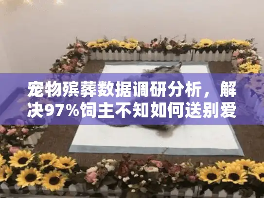 宠物殡葬数据调研分析，解决97%饲主不知如何送别爱宠的难题