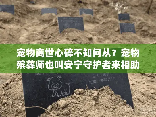 宠物离世心碎不知何从？宠物殡葬师也叫安宁守护者来相助