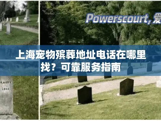 上海宠物殡葬地址电话在哪里找？可靠服务指南