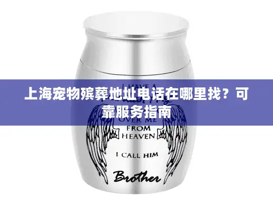 上海宠物殡葬地址电话在哪里找？可靠服务指南