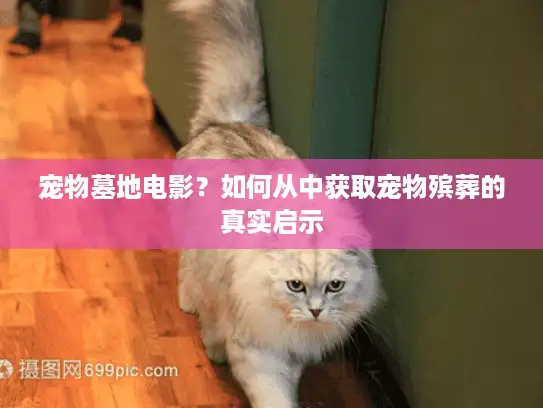 宠物墓地电影？如何从中获取宠物殡葬的真实启示