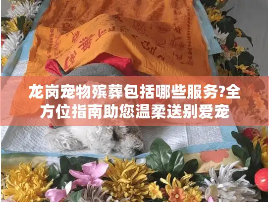 龙岗宠物殡葬包括哪些服务?全方位指南助您温柔送别爱宠