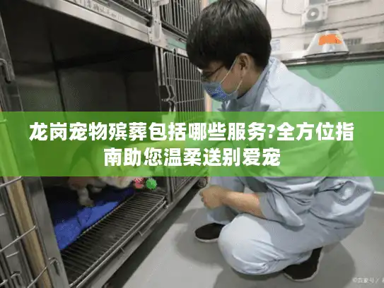 龙岗宠物殡葬包括哪些服务?全方位指南助您温柔送别爱宠