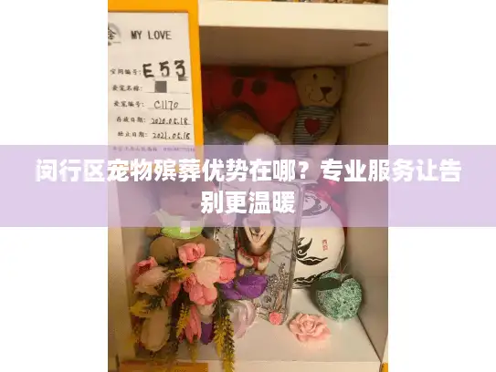 闵行区宠物殡葬优势在哪？专业服务让告别更温暖