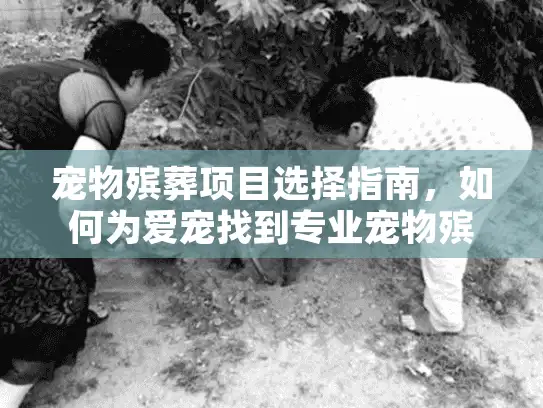 宠物殡葬项目选择指南，如何为爱宠找到专业宠物殡葬服务？