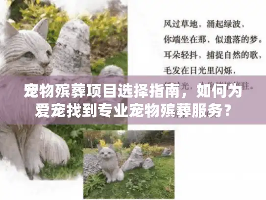 宠物殡葬项目选择指南，如何为爱宠找到专业宠物殡葬服务？
