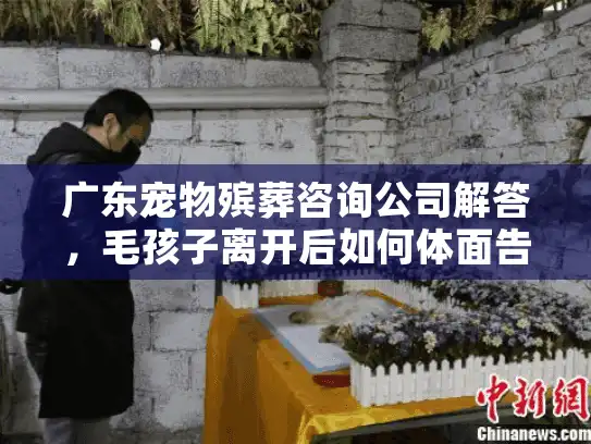 广东宠物殡葬咨询公司解答，毛孩子离开后如何体面告别？