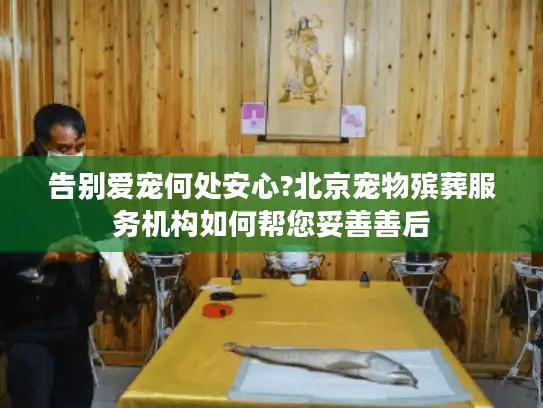 告别爱宠何处安心?北京宠物殡葬服务机构如何帮您妥善善后