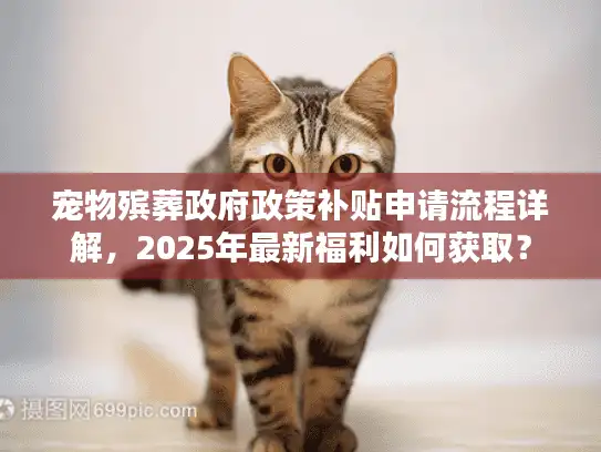 宠物殡葬政府政策补贴申请流程详解，2025年最新福利如何获取？