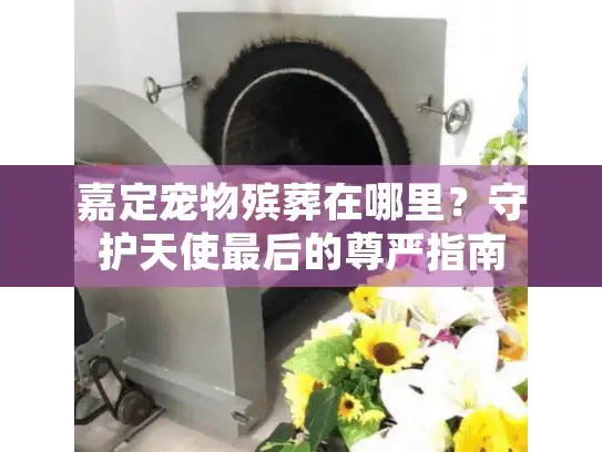 嘉定宠物殡葬在哪里？守护天使最后的尊严指南