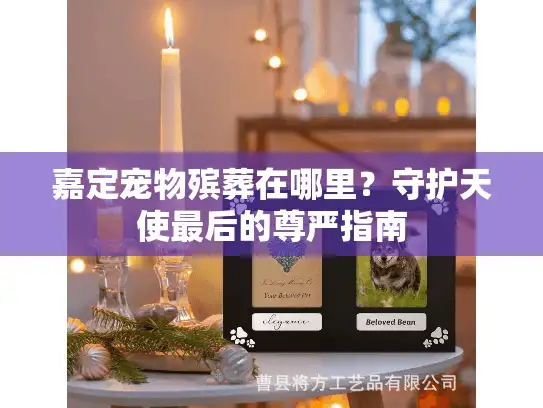 嘉定宠物殡葬在哪里？守护天使最后的尊严指南