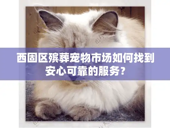 西固区殡葬宠物市场如何找到安心可靠的服务？