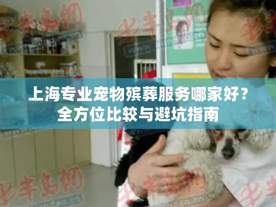 上海专业宠物殡葬服务哪家好？全方位比较与避坑指南