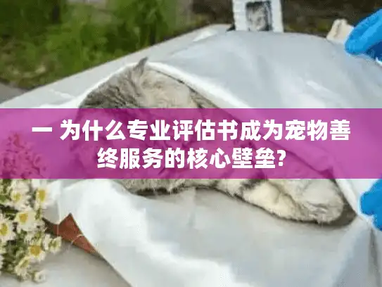 一 为什么专业评估书成为宠物善终服务的核心壁垒?