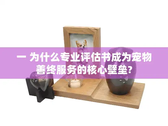 一 为什么专业评估书成为宠物善终服务的核心壁垒?