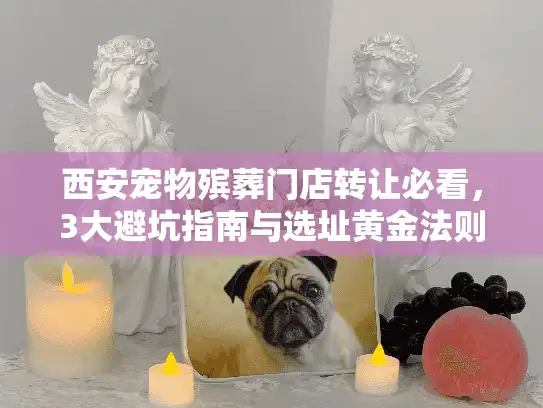 西安宠物殡葬门店转让必看，3大避坑指南与选址黄金法则