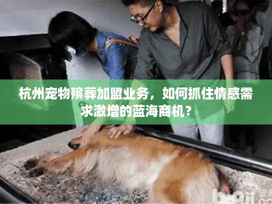 杭州宠物殡葬加盟业务，如何抓住情感需求激增的蓝海商机？