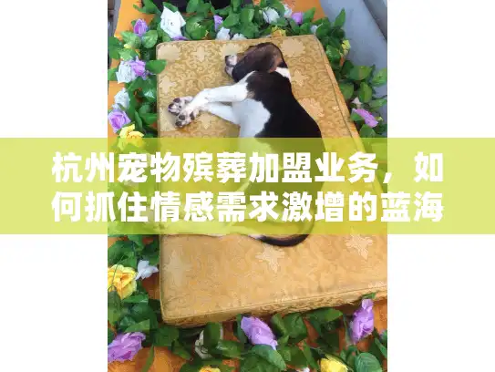 杭州宠物殡葬加盟业务，如何抓住情感需求激增的蓝海商机？