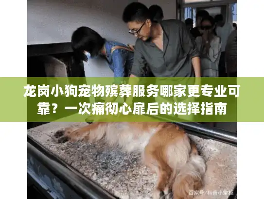 龙岗小狗宠物殡葬服务哪家更专业可靠？一次痛彻心扉后的选择指南