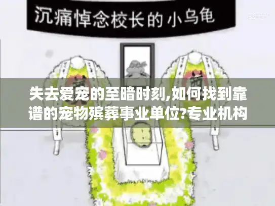 失去爱宠的至暗时刻,如何找到靠谱的宠物殡葬事业单位?专业机构推荐