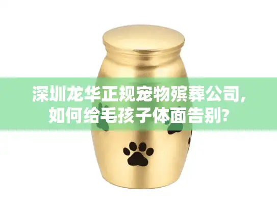 深圳龙华正规宠物殡葬公司,如何给毛孩子体面告别?