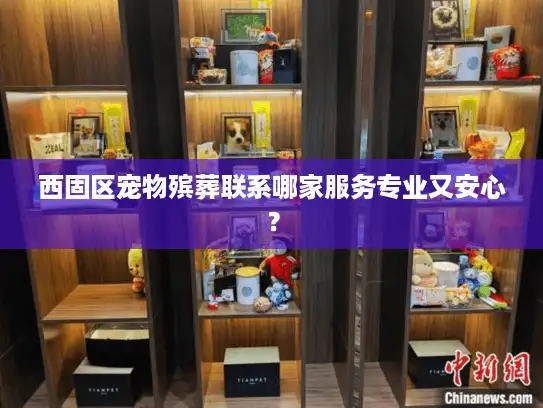 西固区宠物殡葬联系哪家服务专业又安心？
