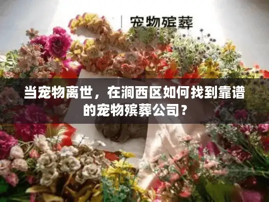 当宠物离世，在涧西区如何找到靠谱的宠物殡葬公司？