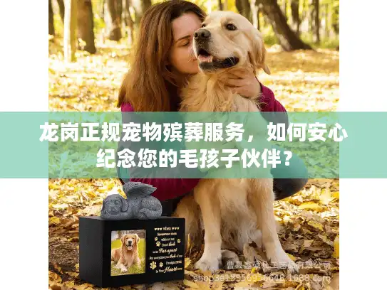 龙岗正规宠物殡葬服务，如何安心纪念您的毛孩子伙伴？