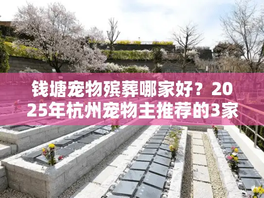 钱塘宠物殡葬哪家好？2025年杭州宠物主推荐的3家高评价机构