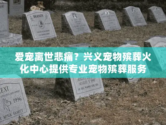 爱宠离世悲痛？兴义宠物殡葬火化中心提供专业宠物殡葬服务