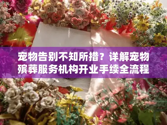 宠物告别不知所措？详解宠物殡葬服务机构开业手续全流程