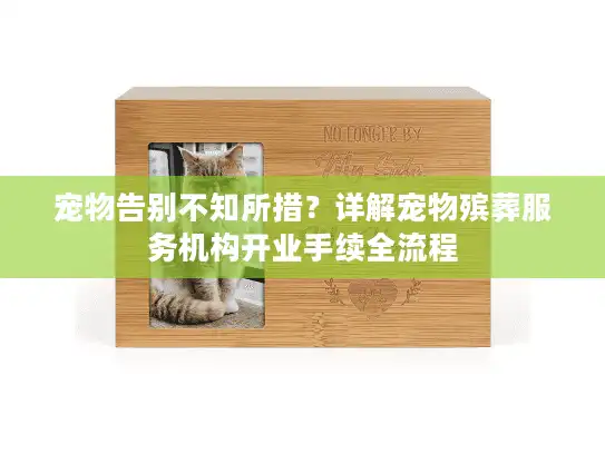 宠物告别不知所措？详解宠物殡葬服务机构开业手续全流程
