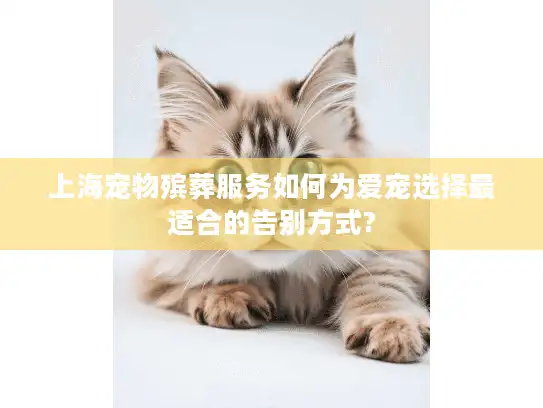 上海宠物殡葬服务如何为爱宠选择最适合的告别方式?
