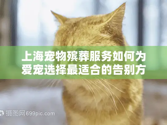 上海宠物殡葬服务如何为爱宠选择最适合的告别方式?