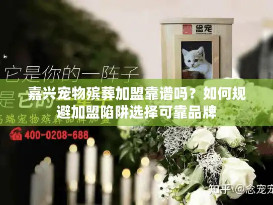 嘉兴宠物殡葬加盟靠谱吗？如何规避加盟陷阱选择可靠品牌