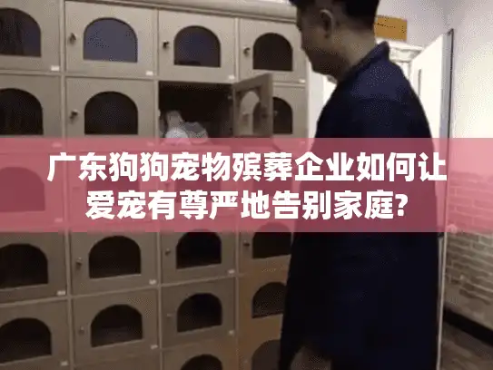 广东狗狗宠物殡葬企业如何让爱宠有尊严地告别家庭?