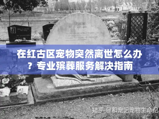 在红古区宠物突然离世怎么办？专业殡葬服务解决指南