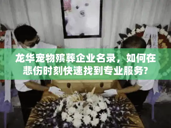 龙华宠物殡葬企业名录，如何在悲伤时刻快速找到专业服务?